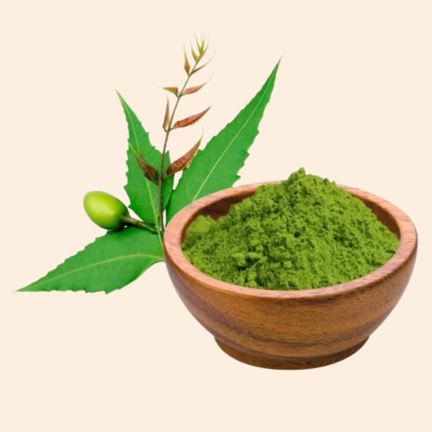 Neem Powder Neem Powder